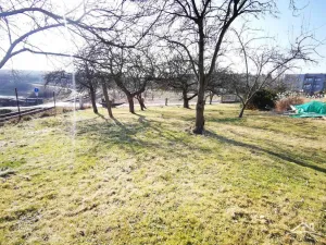 Prodej rodinného domu, Třešť, Palackého, 220 m2