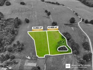 Prodej pozemku pro bydlení, Pulečný, 4466 m2