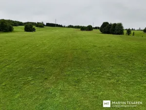 Prodej pozemku pro bydlení, Pulečný, 9697 m2