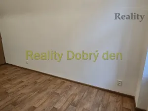 Pronájem bytu 1+1, Opava, Mánesova, 42 m2