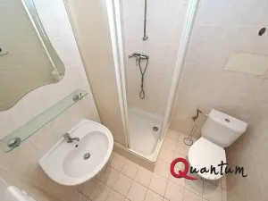 Pronájem bytu 1+kk, Praha - Nusle, Boleslavova, 30 m2
