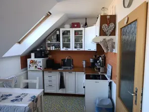 Pronájem bytu 1+kk, Nový Jičín, B. Martinů, 28 m2