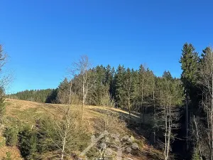 Prodej louky, Bozkov, 14441 m2