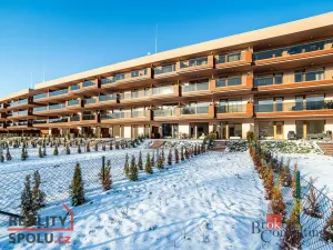 Pronájem bytu 1+kk, Slaný, Lázeňská, 35 m2