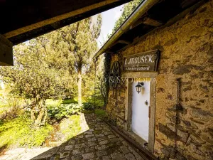 Prodej rodinného domu, Rohozná, 730 m2