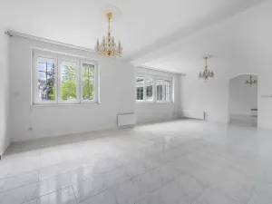 Prodej rodinného domu, Družec, V Zátiší, 289 m2