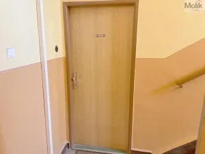 Prodej bytu 2+1, Louny, Tyršovo nám., 52 m2