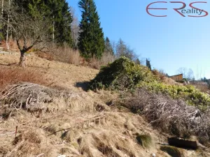 Prodej rodinného domu, Janov nad Nisou, 250 m2