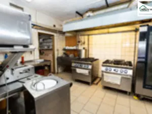 Pronájem obchodního prostoru, Cheb, Wolkerova, 267 m2