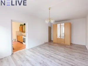 Prodej bytu 2+1, Cheb, Hrnčířská, 60 m2