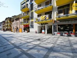 Prodej bytu 1+kk, Luhačovice, Dr. Veselého, 40 m2