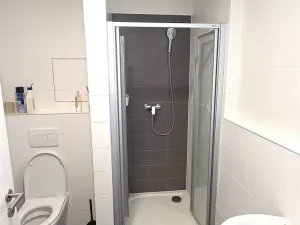 Pronájem bytu 1+kk, Pardubice - Pardubičky, Východní, 35 m2