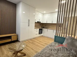 Prodej bytu 1+kk, Opava - Kateřinky, Grudova, 21 m2