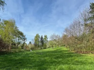 Prodej pozemku pro bydlení, Žandov - Radeč, 1706 m2