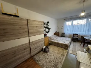 Prodej bytu 1+kk, Zruč nad Sázavou, Mládeže, 33 m2