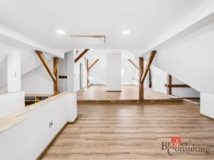 Pronájem bytu 1+kk, Příkosice, 85 m2