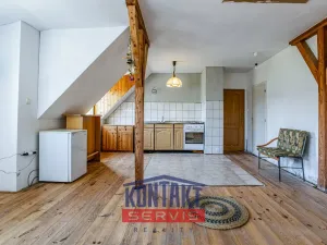 Prodej rodinného domu, Zavlekov - Mladice, 262 m2