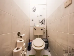 Prodej bytu 2+1, Bzenec, Průmyslová, 65 m2