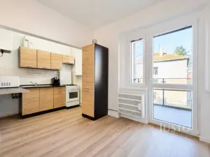 Pronájem bytu 3+kk, Ústí nad Labem - Klíše, Resslova, 61 m2