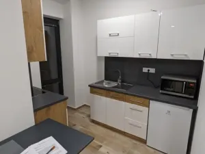 Pronájem bytu 1+kk, Jihlava, Seifertova, 26 m2