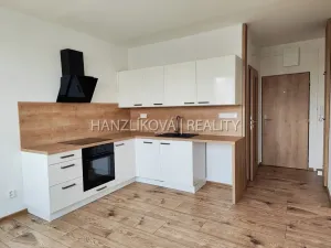 Pronájem bytu 1+1, České Budějovice - České Budějovice 2, J. Opletala, 40 m2