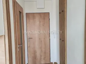 Pronájem bytu 1+1, České Budějovice - České Budějovice 2, J. Opletala, 40 m2