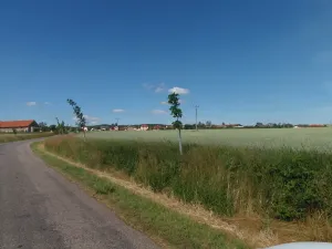 Prodej podílu pole, Podluhy, 12741 m2