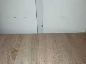 Pronájem bytu 3+kk, Děčín - Děčín IV-Podmokly, Palackého, 75 m2
