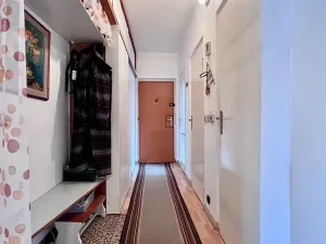 Prodej bytu 2+1, Brno, Vídeňská, 54 m2