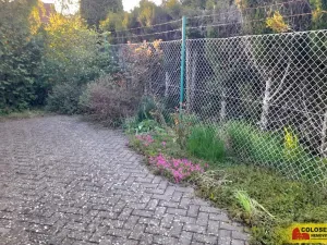 Pronájem zahrady, Vilémovice, 1504 m2