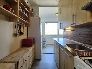 Prodej bytu 3+1, Písek - Pražské Předměstí, Na Stínadlech, 64 m2