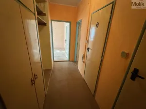 Prodej bytu 2+1, Most, Maxe Švabinského, 54 m2