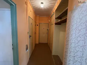 Prodej bytu 2+1, Most, Maxe Švabinského, 54 m2