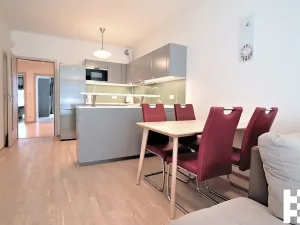 Pronájem bytu 4+kk, Praha - Žižkov, Olšanská, 107 m2