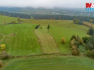 Prodej louky, Zdíkov - Masákova Lhota, 5959 m2