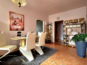 Prodej rodinného domu, Zruč nad Sázavou, Dvořákova, 190 m2