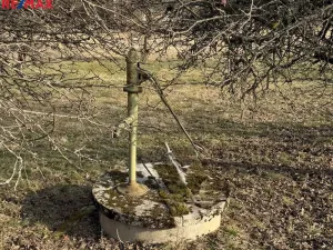 Prodej zahrady, Výčapy, 1968 m2