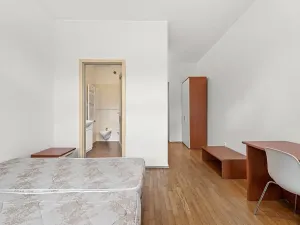 Prodej bytu 2+1, Praha - Žižkov, Bořivojova, 77 m2