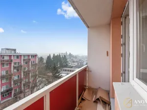 Pronájem bytu 1+1, Brno, Vavřinecká, 35 m2