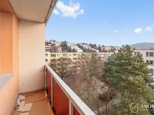 Pronájem bytu 1+1, Brno, Vavřinecká, 35 m2