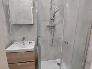 Prodej bytu 1+1, Praha - Žižkov, Hartigova, 29 m2