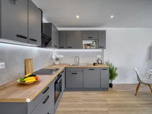 Pronájem bytu 3+kk, Most, Františka Malíka, 65 m2