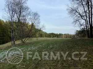 Prodej pole, Planá, 21513 m2