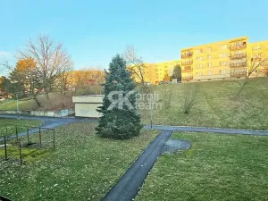 Pronájem bytu 1+1, Ostrava, Proskovická, 40 m2