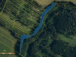 Prodej lesa, Dolní Vilémovice, 5435 m2