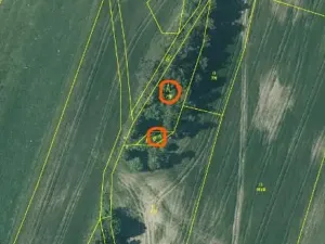 Prodej lesa, Nová Bystřice, 1069 m2