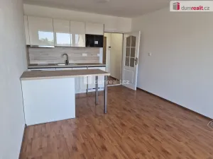 Pronájem bytu 1+kk, České Budějovice - České Budějovice 2, Fr. Ondříčka, 24 m2