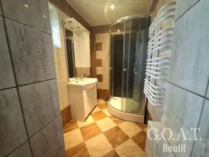 Prodej vícegeneračního domu, Zbůch, Polní, 249 m2