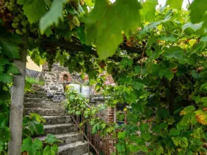 Pronájem rodinného domu, Holubice, V Průhonu, 170 m2