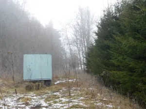 Dražba louky, Horní Planá, 3804 m2